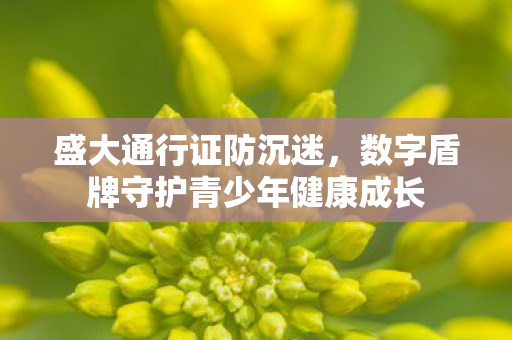 数字盾牌守护青少年健康成长图片