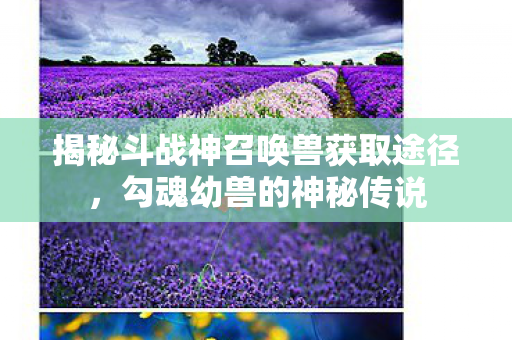 揭秘斗战神召唤兽获取途径图片