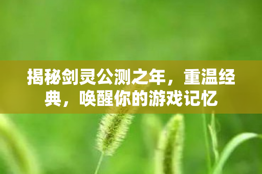 揭秘剑灵公测之年,重温经典,唤醒你的游戏记忆 揭秘剑灵公测之年,重温经典,唤醒你的游戏记忆