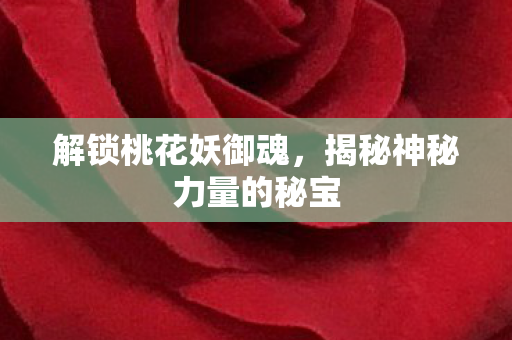 揭秘神秘力量的秘宝图片