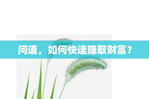如何快速赚取财富图片