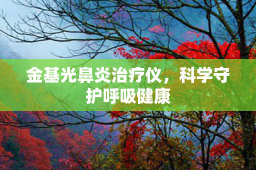 金基光鼻炎治疗仪图片