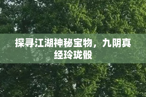 探寻江湖神秘宝物图片