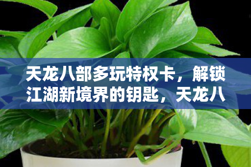解锁江湖新境界的钥匙图片