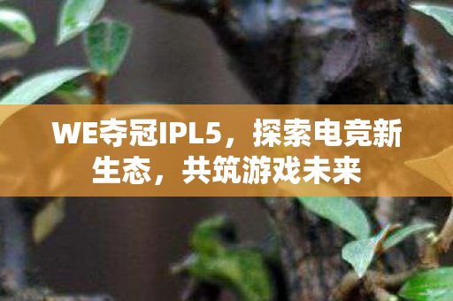 WE夺冠IPL5图片