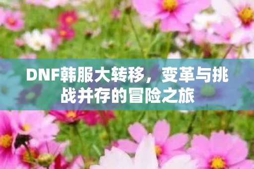 变革与挑战并存的冒险之旅图片