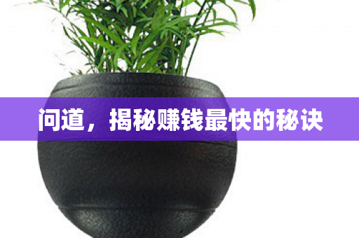 揭秘赚钱最快的秘诀图片