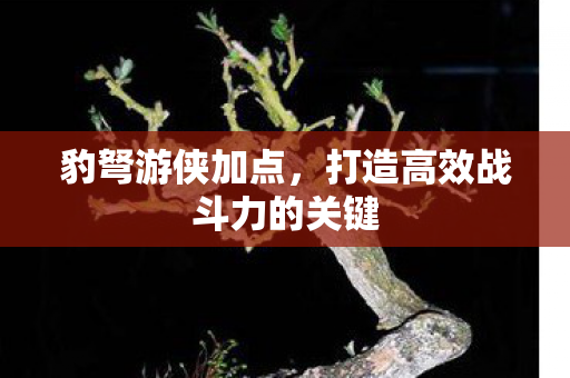 打造高效战斗力的关键图片