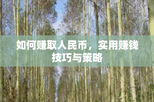 实用赚钱技巧与策略图片