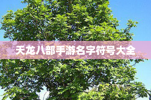 天龙八部手游名字符号大全图片