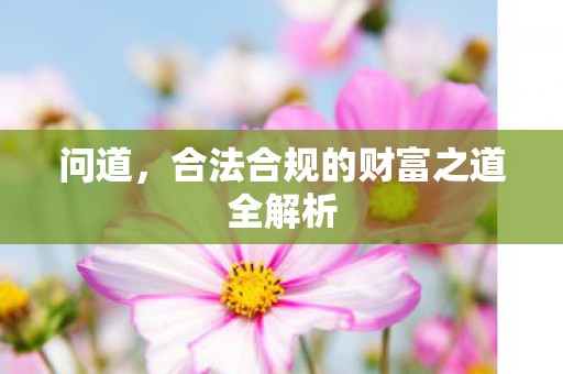 合法合规的财富之道全解析图片