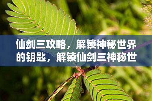 解锁仙剑三神秘世界的钥匙图片