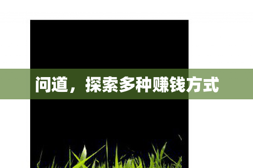 探索多种赚钱方式图片