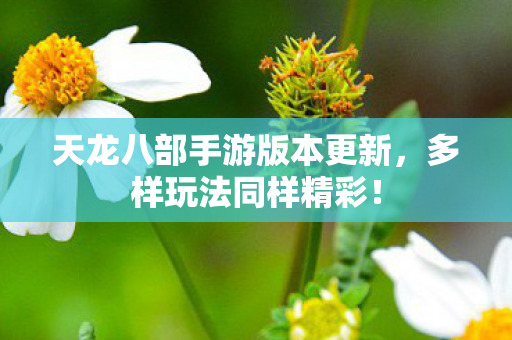 天龙八部手游版本更新图片