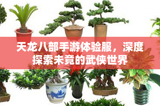 深度探索未竟的武侠世界图片