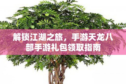 解锁江湖之旅，手游天龙八部手游礼包领取指南