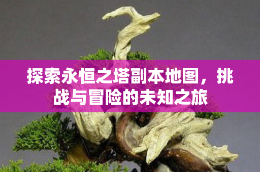 探索永恒之塔副本地图图片