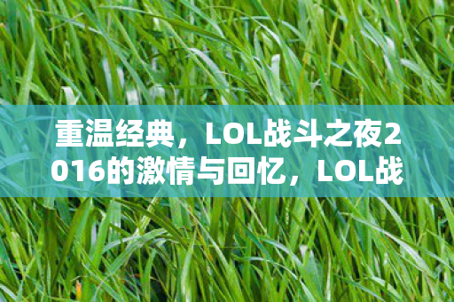 LOL战斗之夜2016的激情与回忆图片