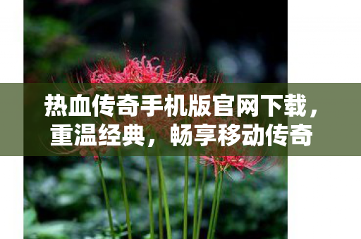 热血传奇手机版官网下载图片