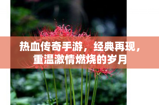 重温激情燃烧的岁月图片