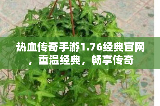 热血传奇手游1图片