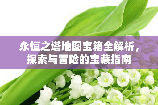 永恒之塔地图宝箱全解析图片