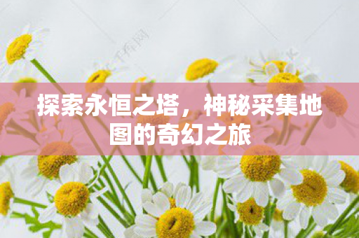 神秘采集地图的奇幻之旅图片