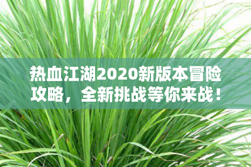 热血江湖2020新版本冒险攻略图片