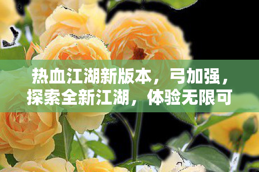 热血江湖新版本图片