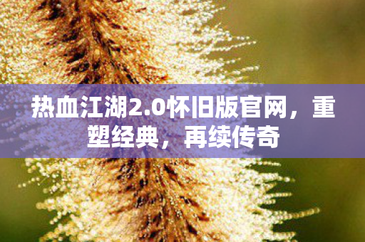 0怀旧版官网图片