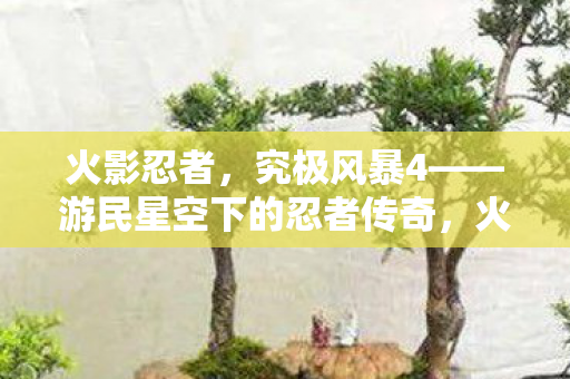 究极风暴4游民星空下的忍者传奇图片