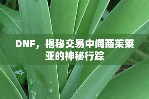 揭秘交易中间商茱莱亚的神秘行踪图片