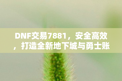 打造全新地下城与勇士账号交易体验图片