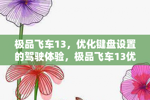 极品飞车13优化键盘设置图片