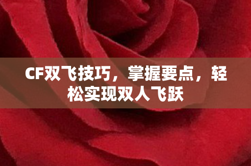轻松实现双人飞跃图片