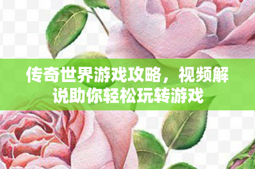 视频解说助你轻松玩转游戏图片