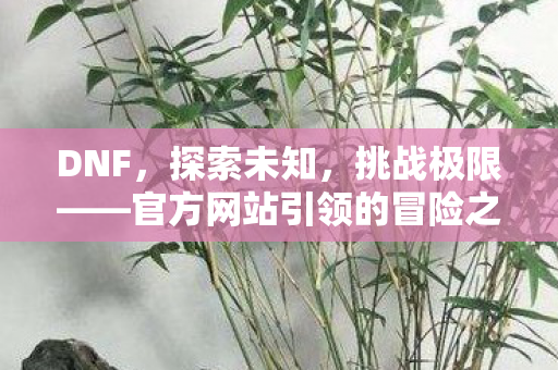 官方网站引领的冒险之旅图片