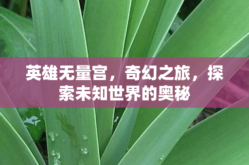 探索未知世界的奥秘图片