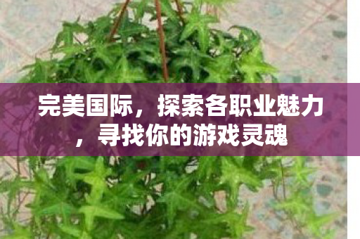 寻找你的游戏灵魂图片
