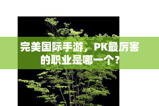 PK最厉害的职业是哪一个图片