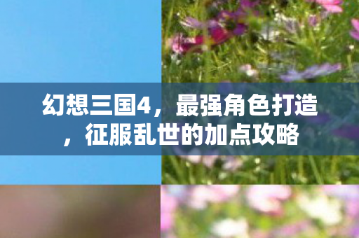 幻想三国4,最强角色打造,征服乱世的加点攻略 幻想三国4,最强角色打造,征服乱世的加点攻略