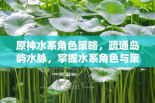 原神水系角色策略，疏通岛屿水脉，掌握水系角色与策略