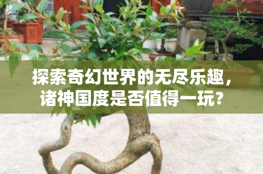 探索奇幻世界的无尽乐趣图片