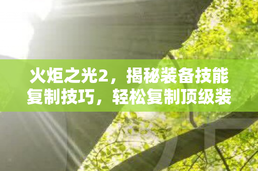 揭秘装备技能复制技巧图片