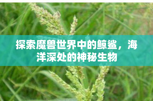 探索魔兽世界中的鲸鲨图片