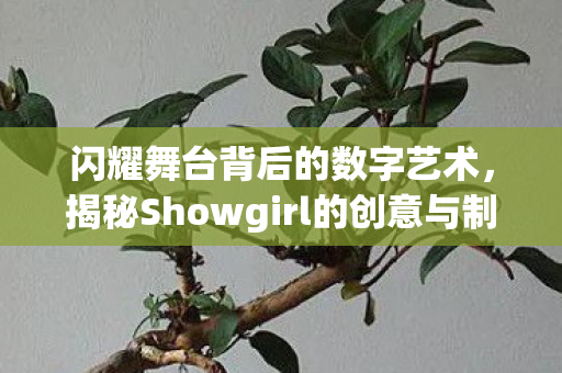 揭秘Showgirl的创意与制作图片