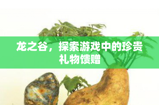探索游戏中的珍贵礼物馈赠图片