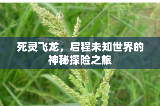 启程未知世界的神秘探险之旅图片