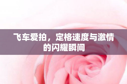 定格速度与激情的闪耀瞬间图片