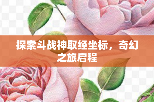 探索斗战神取经坐标,奇幻之旅启程 探索斗战神取经坐标,奇幻之旅启程